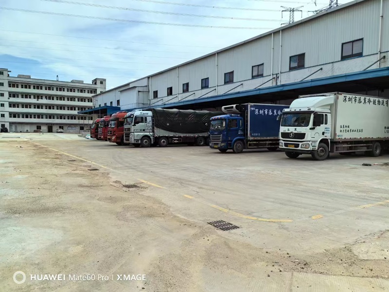 冷鏈運(yùn)輸需要什么資質(zhì)(圖1)