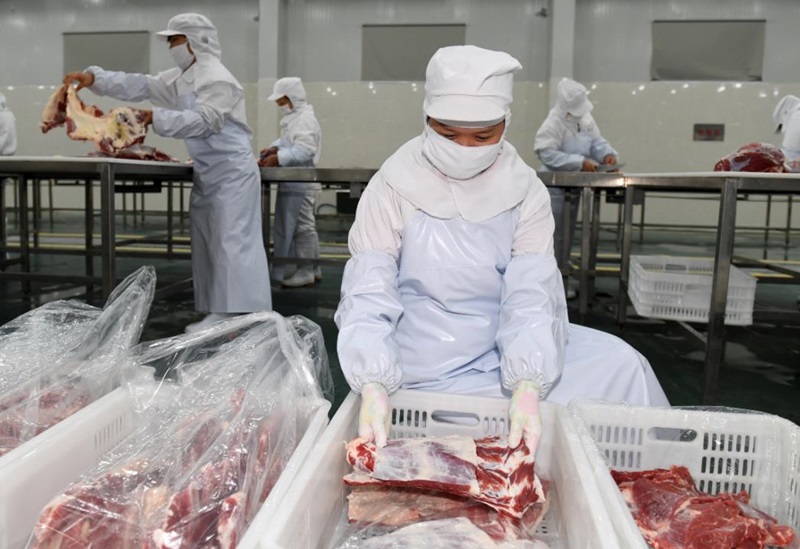 冷鏈運(yùn)輸牛肉要注意什么(圖1) 冷鏈運(yùn)輸牛肉要注意什么(圖1)