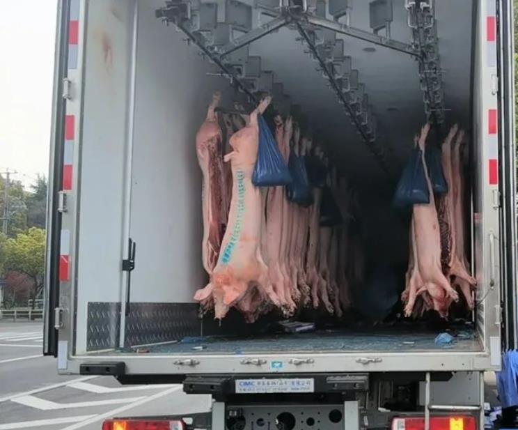 冷鏈配送豬肉需要辦理什么手續(xù)(圖1)